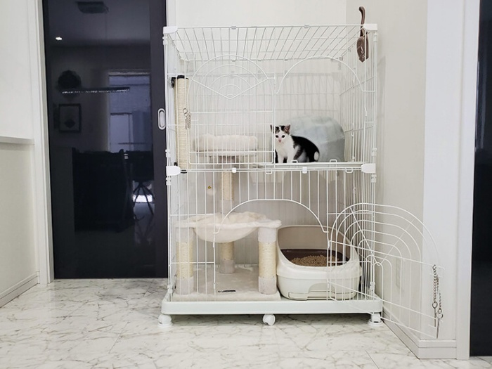 子猫用のケージの中に小さめのミニキャットタワーを設置
