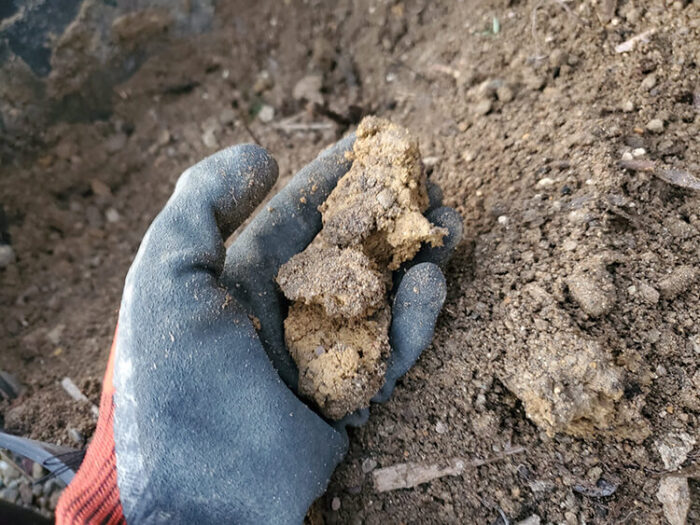 ガチガチ、ベチャベチャの粘土質の土がふかふかの土になった